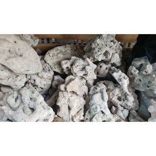 Đá xếp layout 1kg