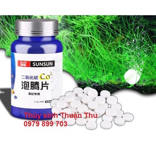 Viên nén Co2 hủ 60 viên cung cấp Co2 cho bể thủy sinh
