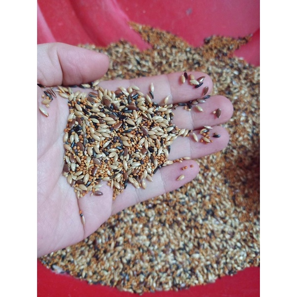 Hạt Trộn Yến Hót Có Kê Nhỏ Nam Định Gói 1kg