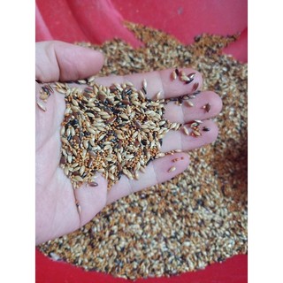 Hạt trộn yến hót kê đỏ nhỏ nam định gói 1kg