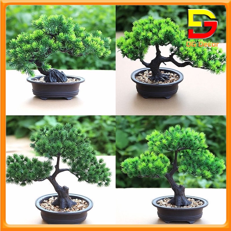 Cây Cảnh Chậu Cây Tùng La Hán Bonsai Giả Decor Trang Trí Nhà Cửa Nhà Hàng Văn Phòng DG-167