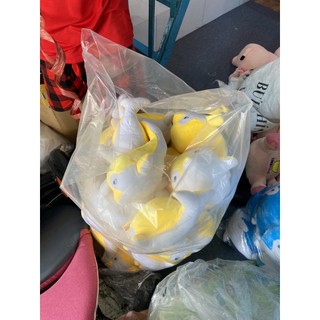 gấu bông cá heo