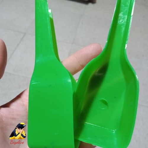 Muỗng xúc cám chim,muống xúc cám cho chim Bigolive phụ kiện chim cảnh