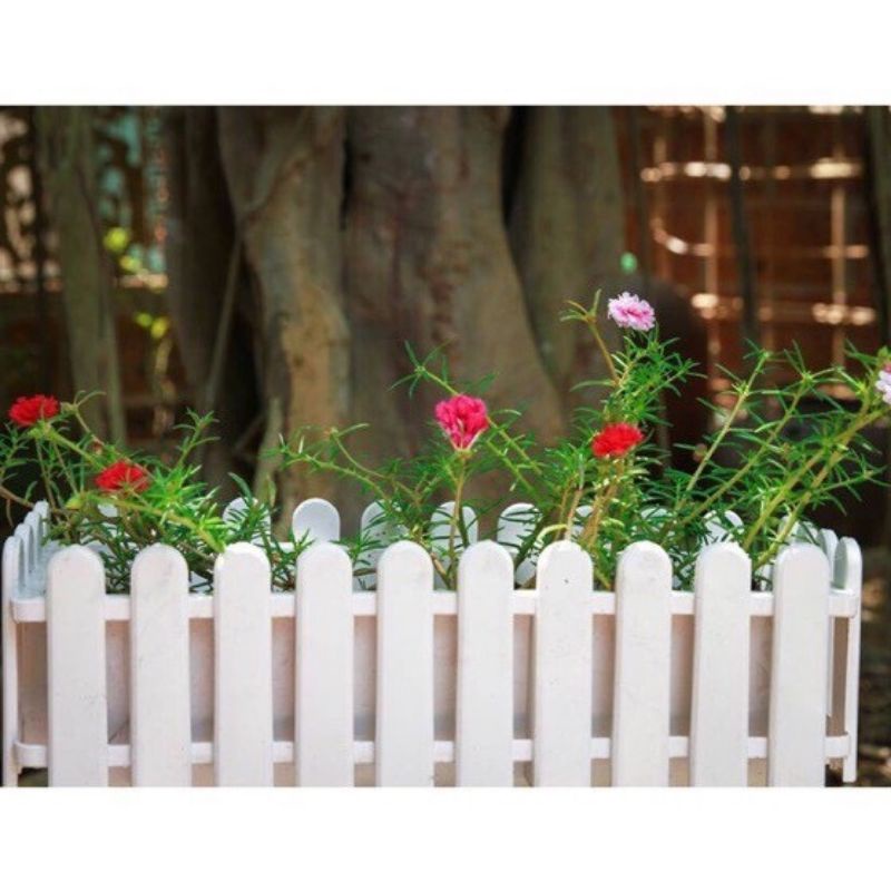 Chậu nhựa hàng rào sezi to 45x20x15cm màu trắng trồng cây,hoa bóng đẹp