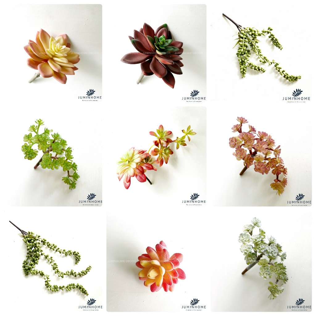 Sen đá trang trí Xương Rồng giả Trang trí Nội thất Hoa đá, Cây giả decor trang trí nhà cửa chậu hoa giả trang trí