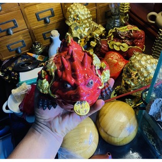 THIỀM THỪ HÓA SÁT NHỎ  (KHAI QUANG)