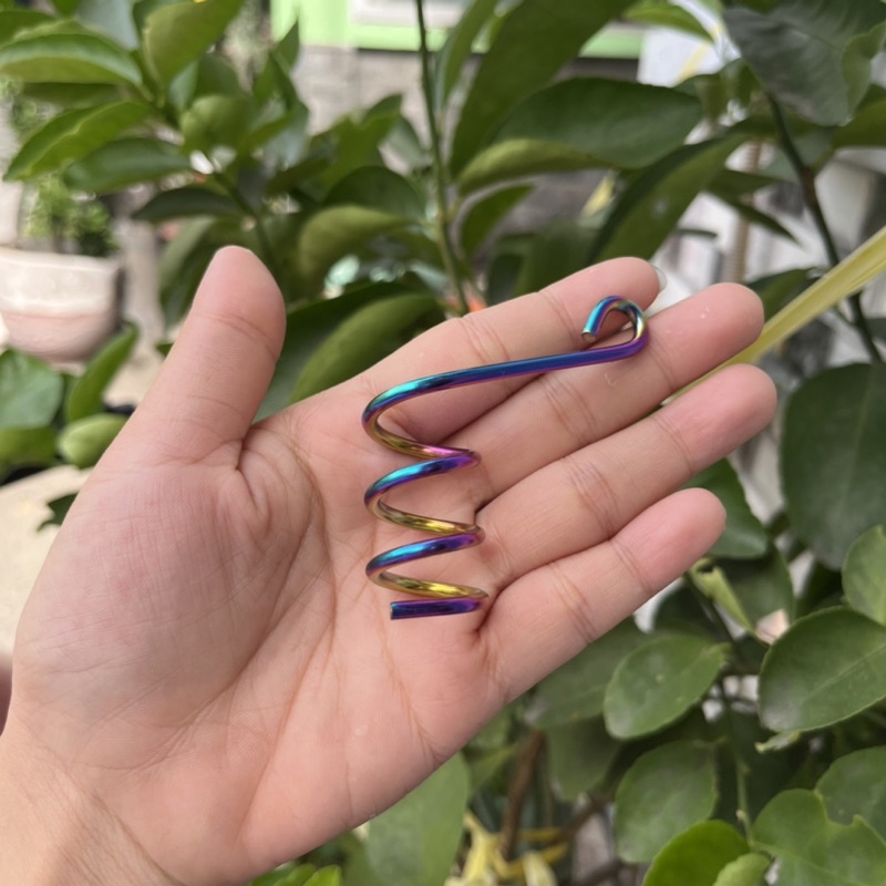 Lò xo kẹp dây dầu/Pas kẹp dầu inox 304