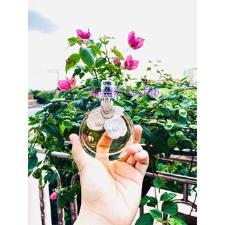 (Chiết Ông Mập) Mẫu thử Valen Valentina (bản cũ)