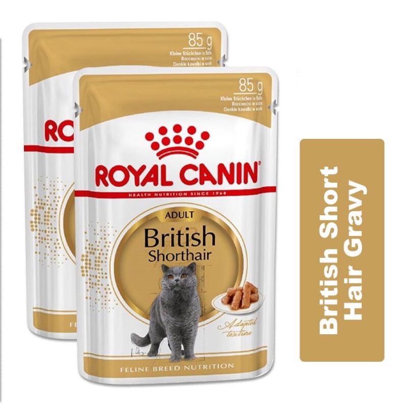 Pate cho mèo Royal Canin các loại 85gr