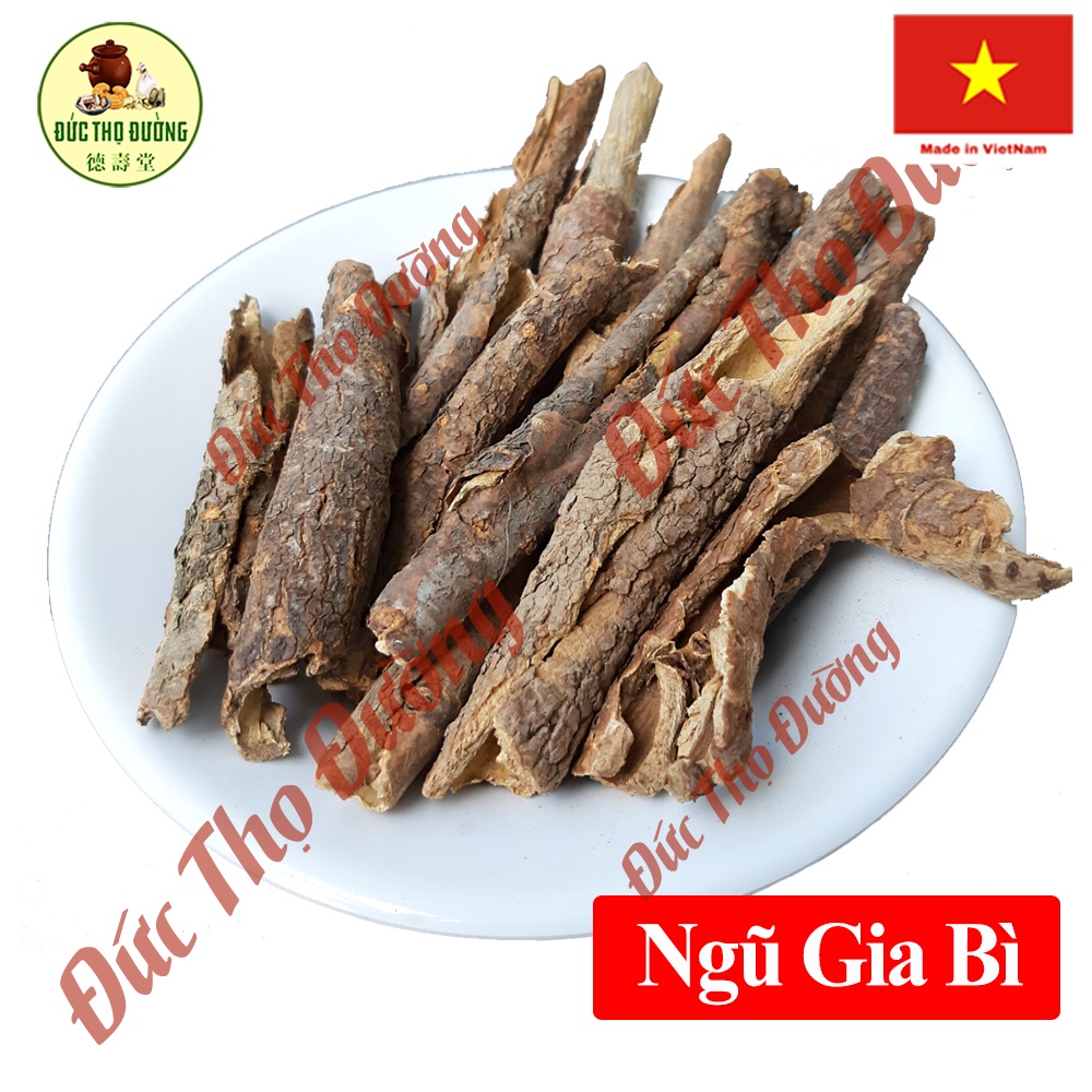 Ngũ Gia Bì - Phơi sấy khô - Túi 100g