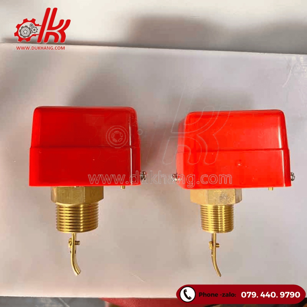 Công tắc dòng chảy HFS20 HFS25  AUTOSIGMA