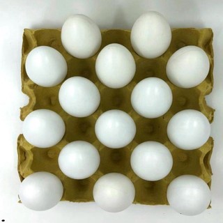 Set 10 hột gà giả white color bằng nhựa cho quy mô chuồng ấp trứng trứng gà mô hình cho học xá vẽ hình lên trứn