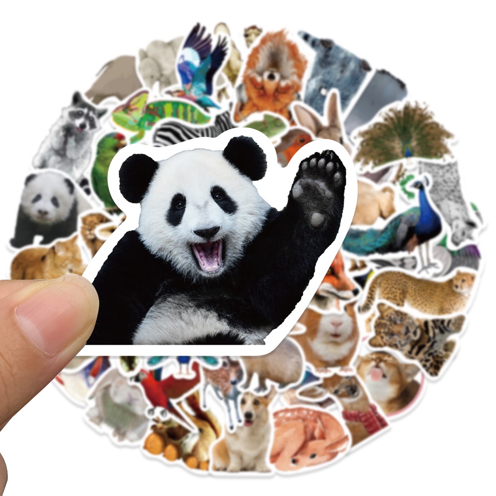 Bộ 50 Miếng Dán Chống Thấm Nước Họa Tiết Graffiti Trang Trí Điện Thoại / Laptop / Vali / Xe Đạp