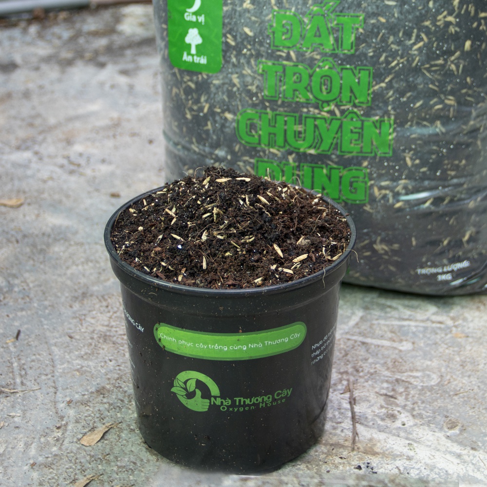 Đất trộn chuyên dụng | Giá thể trồng cây | Potting Soil