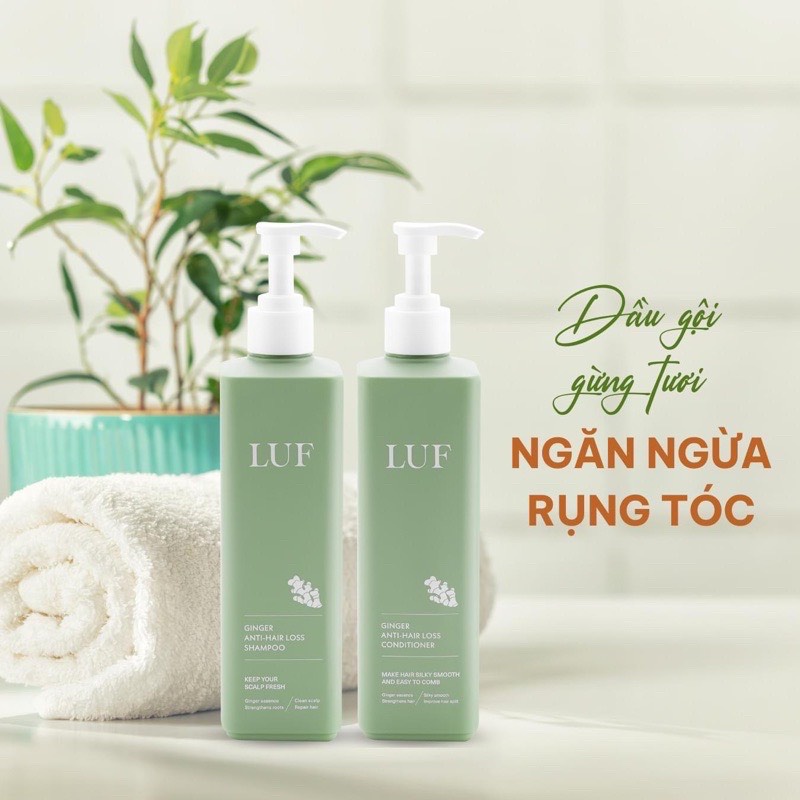 Cặp dầu gội LUF Ginger anti-hair loss shampoo giảm rụng tóc, suôn mượt tóc, giảm gàu 500ml