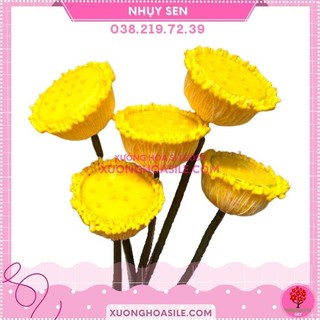 NHỤY SEN, NHỊ SEN, NHỊ NHỤY HOA ĐẤT SÉT