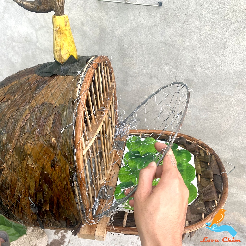 Lồng chim Cu Gáy, Lồng bẫy Cu Gáy lợp lá đẹp  LOVECHIM