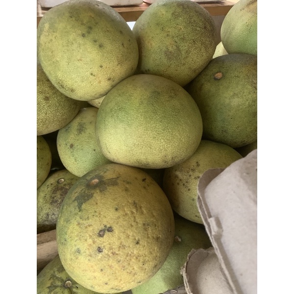 Đặc sản bưởi Năm Roi sl 1 trái