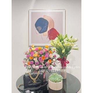 Túi xách nữ C19 size 20-25 fullbox