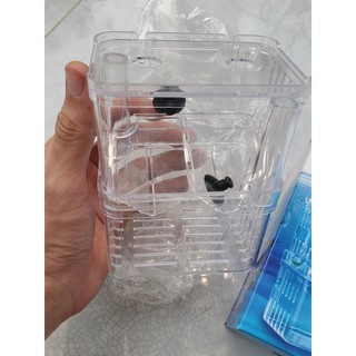 Lồng tách dưỡng cá cảnh Acrylic