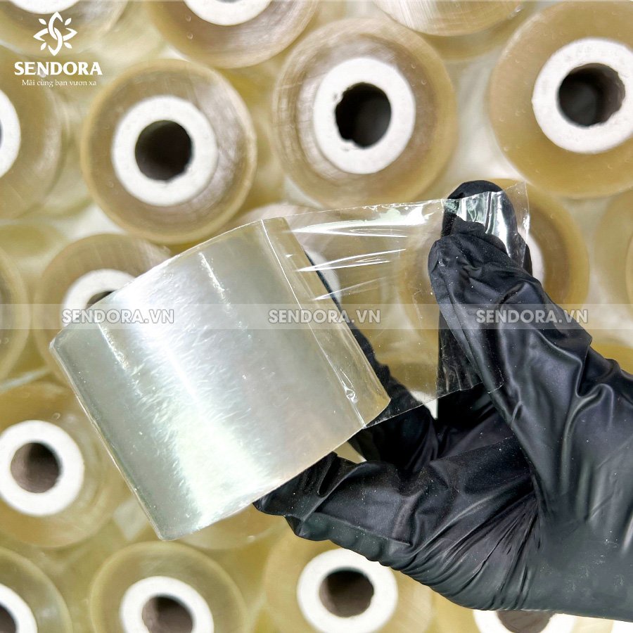 Băng keo ủ tê mày, môi - Nilon ủ tê