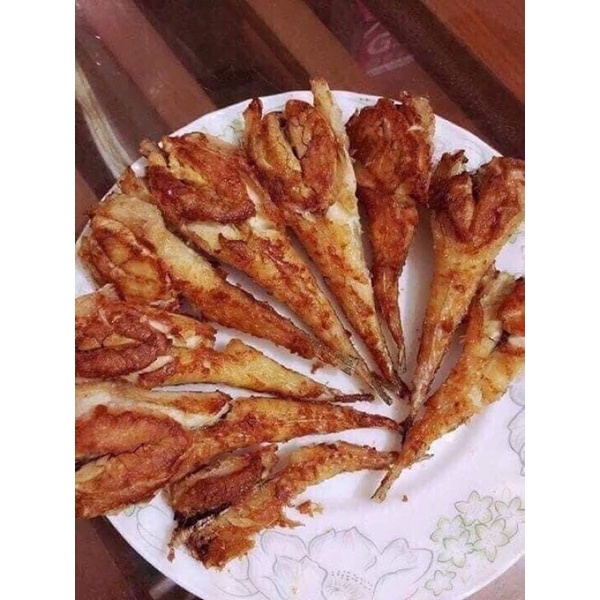 Cá chai trứng
