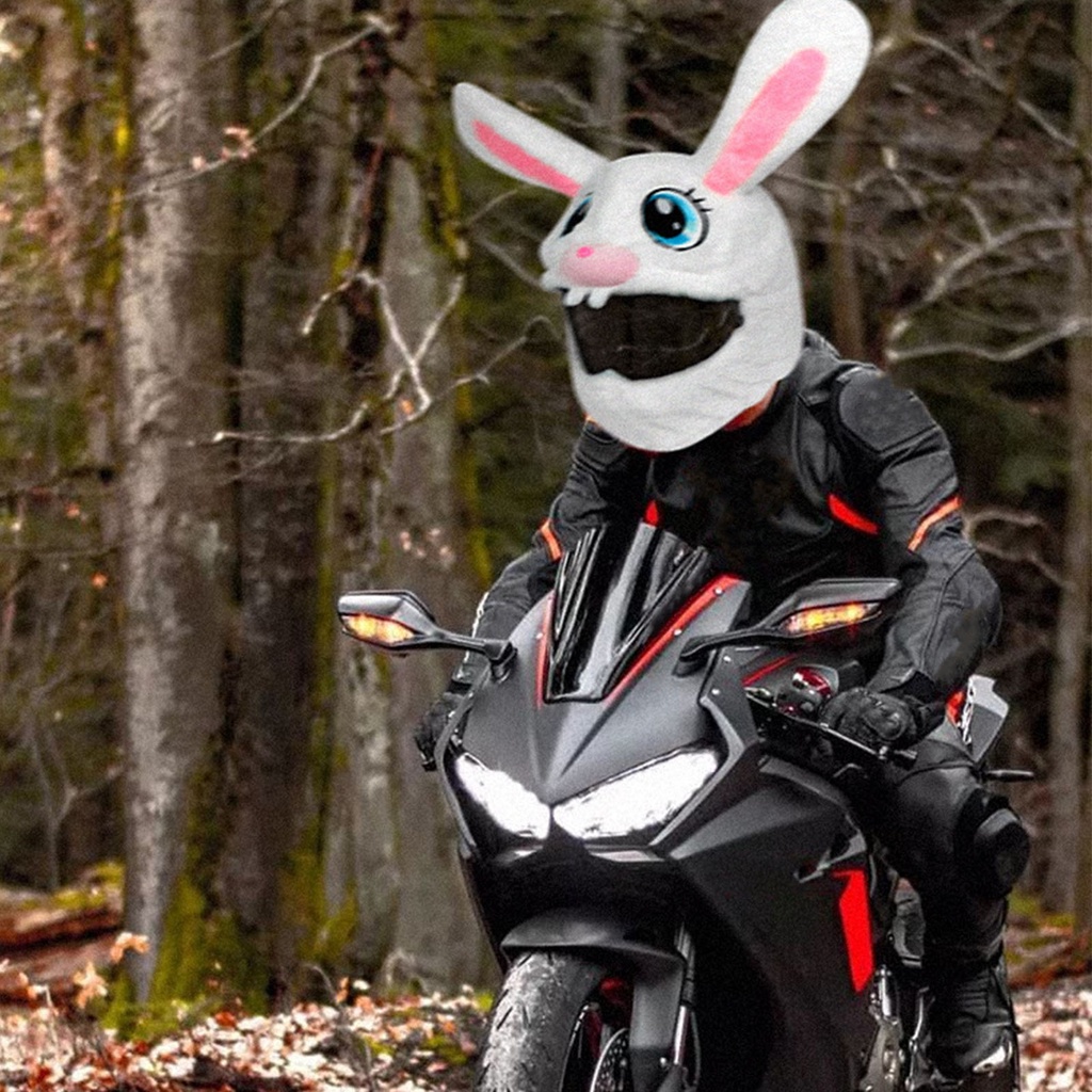 [Hàng Sẵn] Vỏ Bọc Mũ Bảo Hiểm Xe Máy Hoạt Hình Dễ Thương Mềm Mại Ấm Áp Sang Trọng Bông PP【Southdakota051】