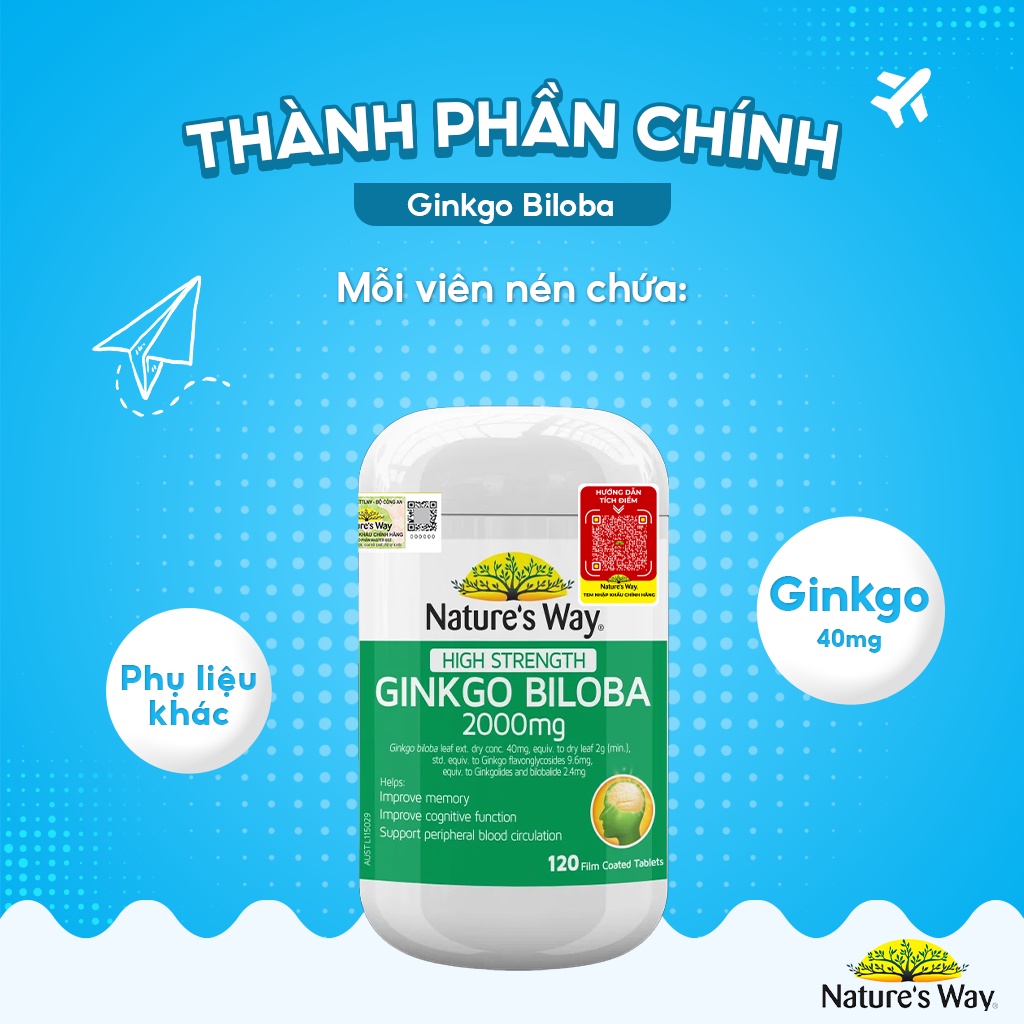 Viên Uống Tuần Hoàn Não Nature's Way High Strength Ginkgo Biloba Tăng Cường Trí Nhớ 2000mg