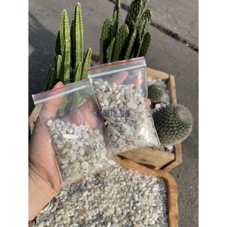 Đá vụn Moonstone ( Mặt trăng) | CADA DECOR