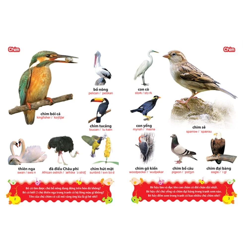 Sách: Từ Điển Tranh Về Các Con Vật