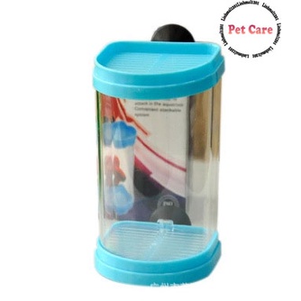 Hộp nuôi cá betta mini tiện dụng