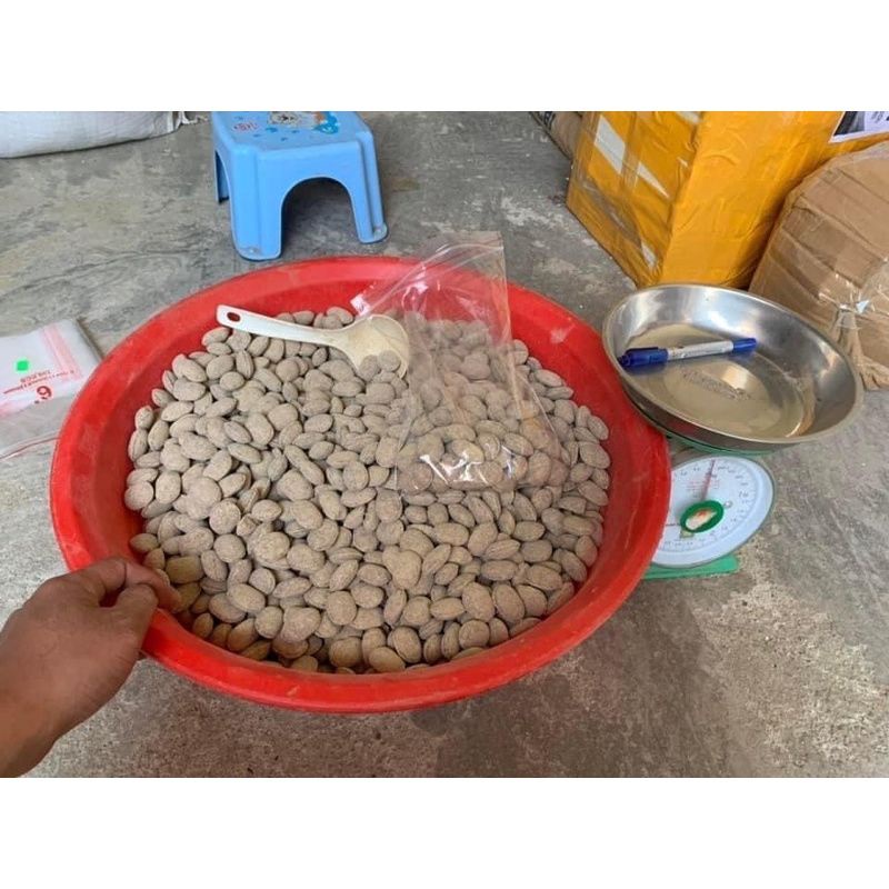 Phân tan chậm hạt bàng Nhật Nurseryace 12-6-6