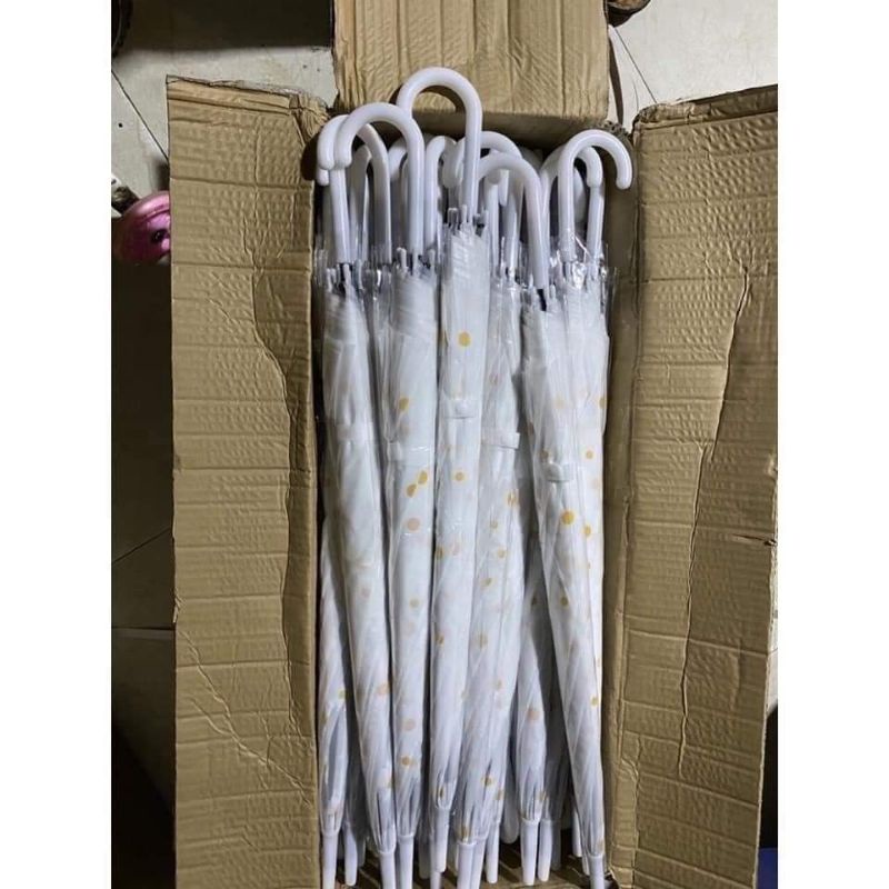 Ô Dù hoa cúc trong suốt