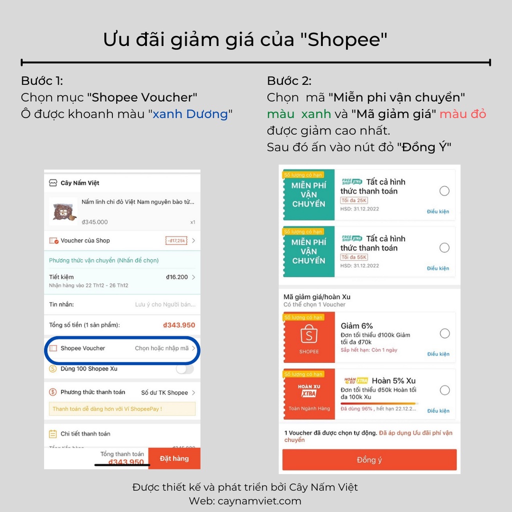 Nấm linh chi đỏ Đà Lạt cao cấp CNV 500g