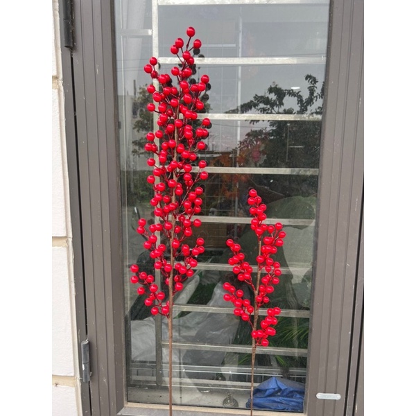 Đào đông 6 nhánh