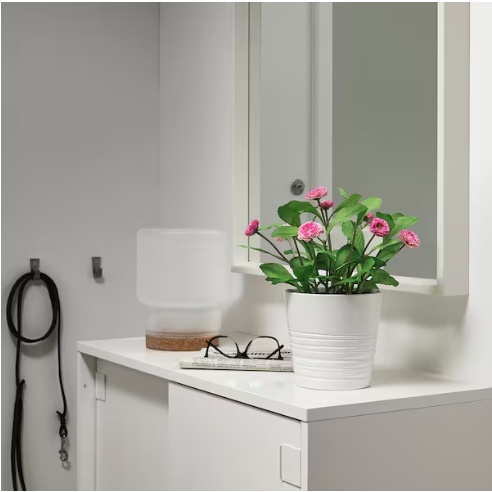 Chậu cây giả FEJKA IKEA chính hãng