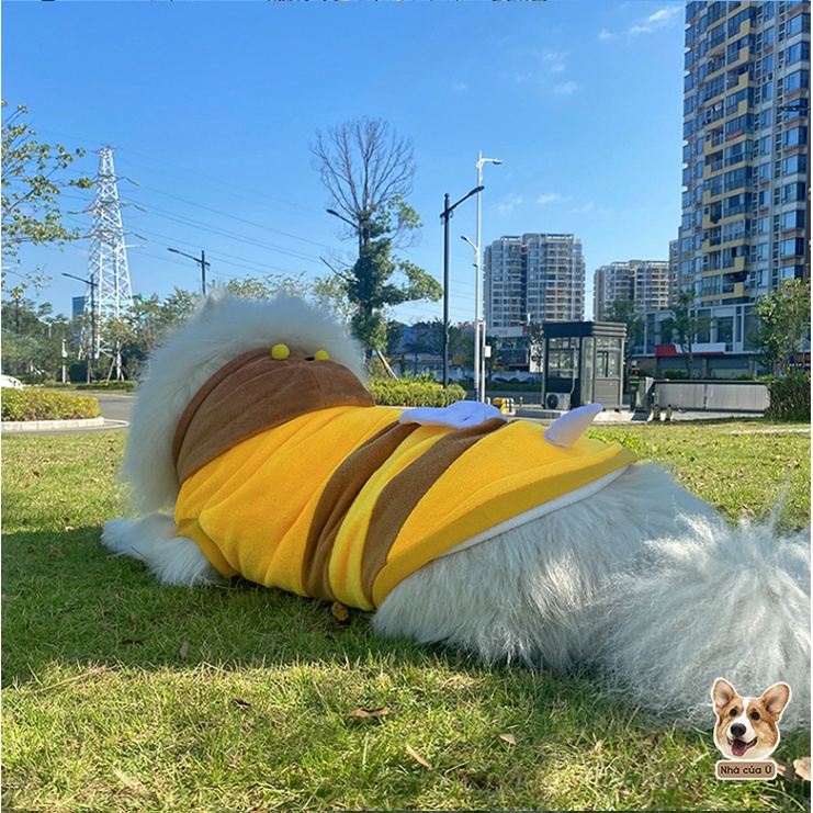 Áo Cho Chó To - Áo Thu Đông Cho Corgi, Samoyed, Golden chất Nhung Bông Hình Con Ong