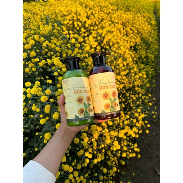 Dầu gội thảo mộc hoa cúc - 500ml mới ra. Phục hồi nuôi dưỡng cho tóc khô xơ chẻ ngọn hay dùng hoá chất