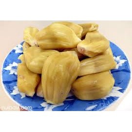 Cây giống mít dai ta