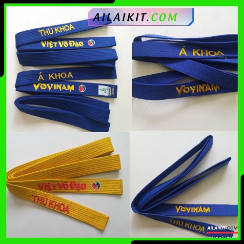 Vovinam Karate Taekwondo Ailaikit
