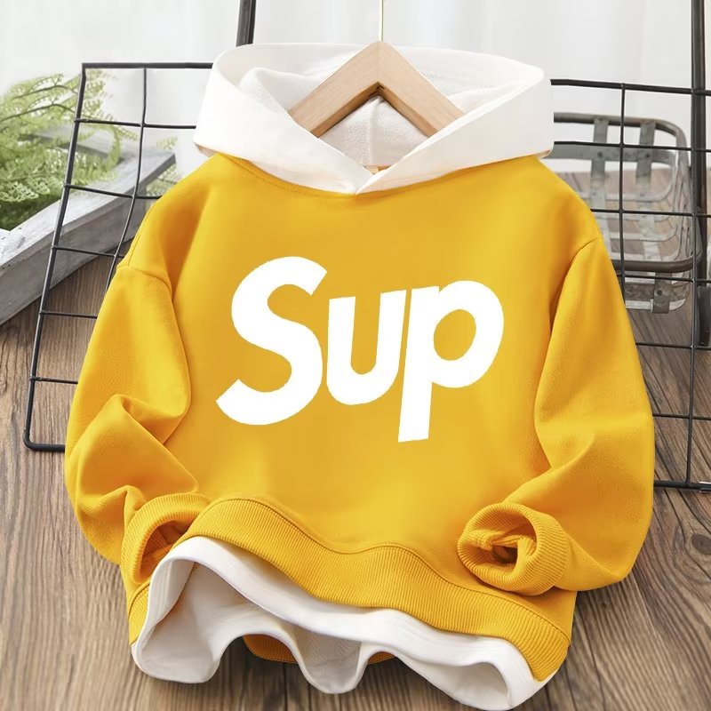 Áo hoodie BXPB dáng rộng giả hai lớp thời trang thu đông cho bé 3 - 15 tuổi