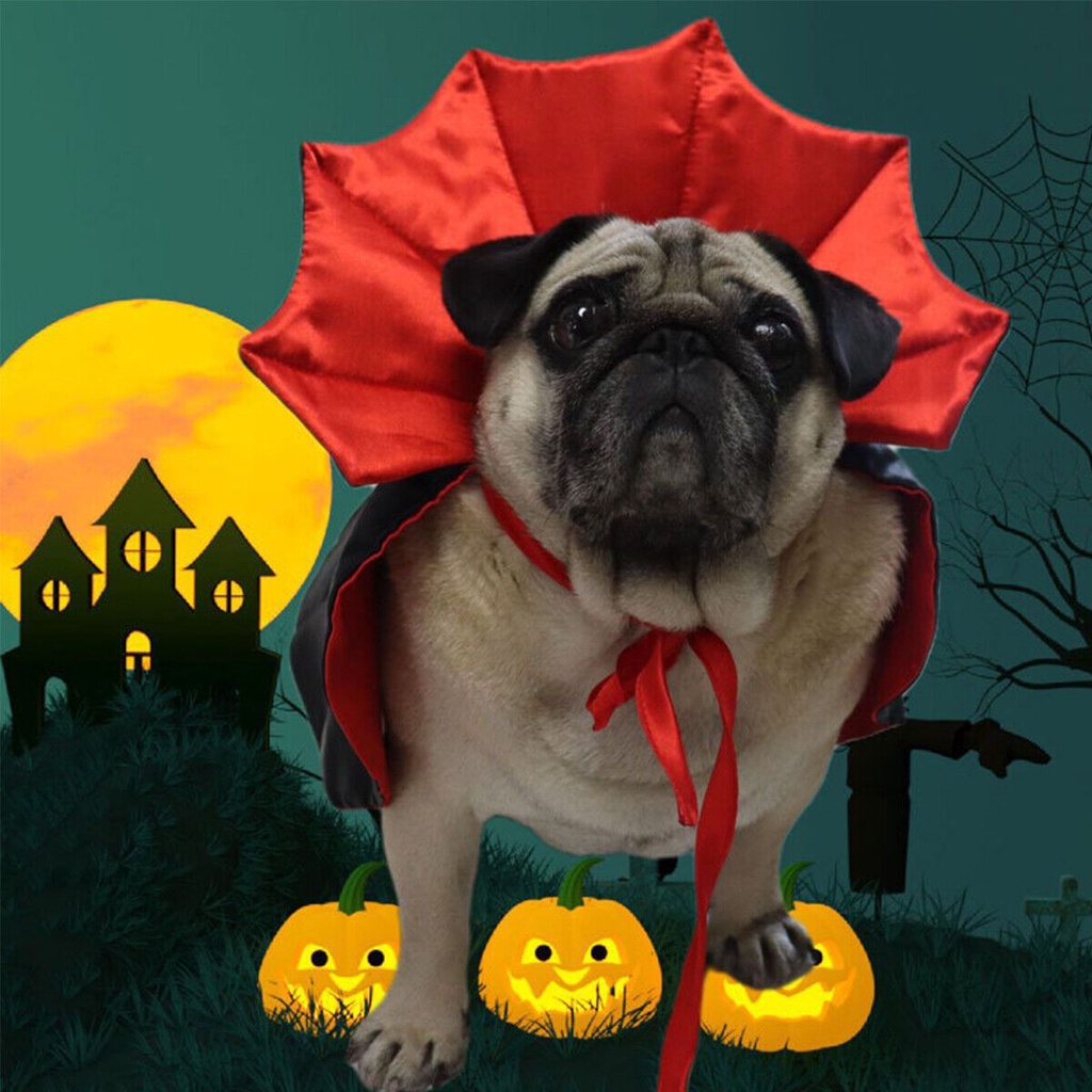 Áo choàng hóa trang thành phù thủy/ ma cà rồng/ ảo thuật gia cho chó mèo đêm halloween