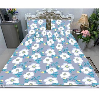 Drap (ga giường) thun lạnh Hàn Quốc cao cấp Bộ 4 món