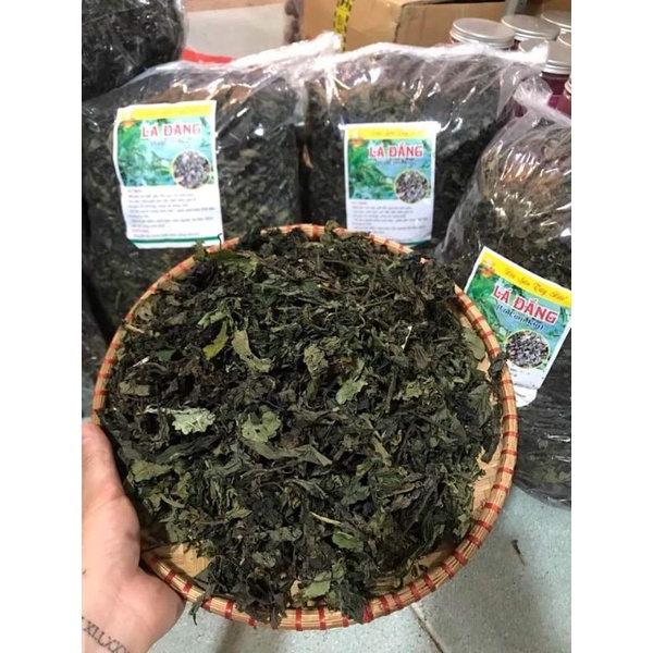 Lá dạ dày 500gr (lá đắng rau rừng Tây Bắc) giúp giảm đau dạ dày