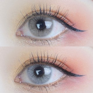 Lens Xám/Nâu 193 + khay đựng