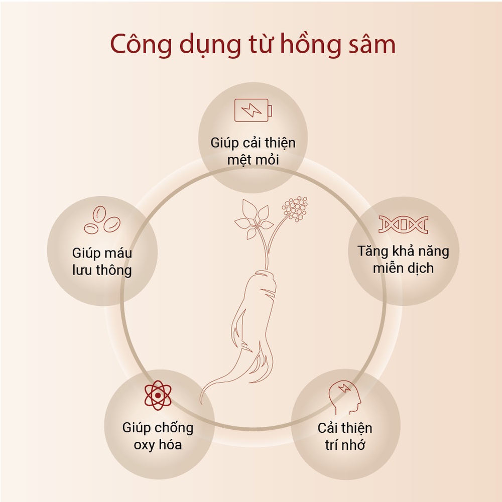 Hộp Quà Hồng Sâm 6 Năm Tuổi và Thạch Collagen Innerset Quà Tặng Biếu Sang Trọng Cao Cấp 30gói x 2 Hộp - K2V Shop