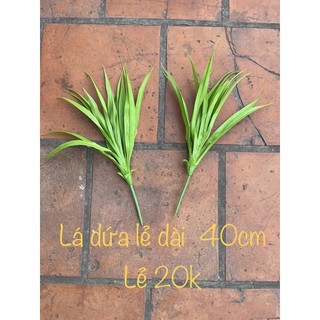 lá lan cao su cao cấp