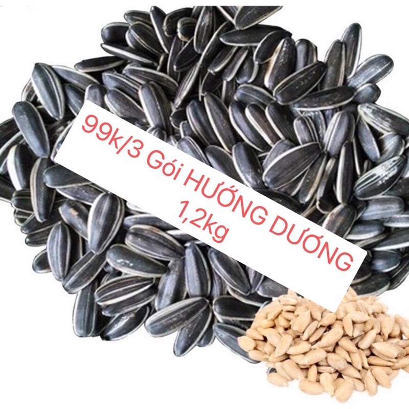 1,2 Kg Hướng Dương nguyên vị chắc hạt túi zip