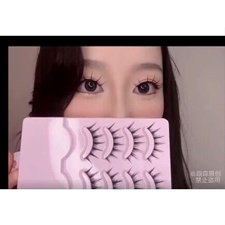 Set 5 cặp lông mi giả AIMEEORAN  3D màu đen tự nhiên lâu trôi