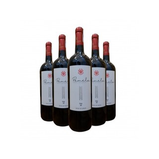 Vang tây ban nha pamela cabernet sauvignon 13.5% 750ml